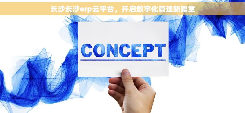 长沙长沙erp云平台，开启数字化管理新篇章