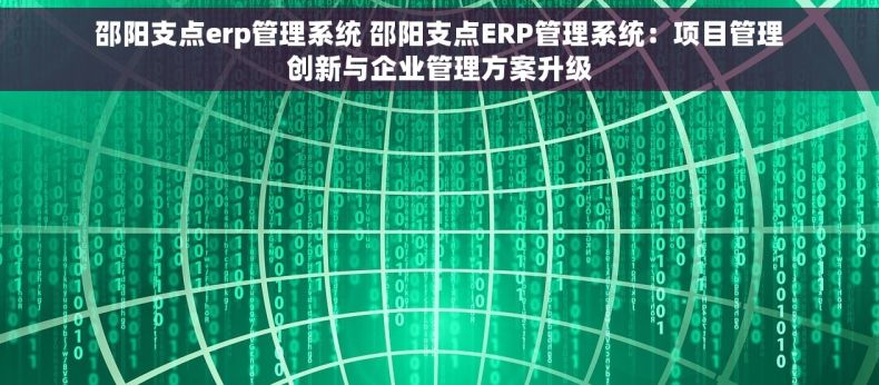 邵阳支点erp管理系统 邵阳支点ERP管理系统：项目管理创新与企业管理方案升级