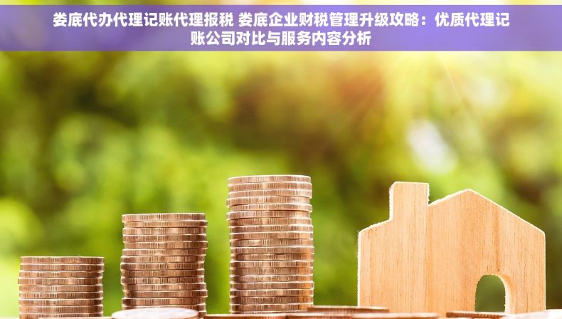 娄底代办代理记账代理报税 娄底企业财税管理升级攻略：优质代理记账公司对比与服务内容分析