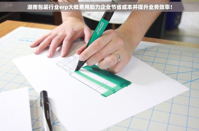湖南包装行业erp大概费用助力企业节省成本并提升业务效率！