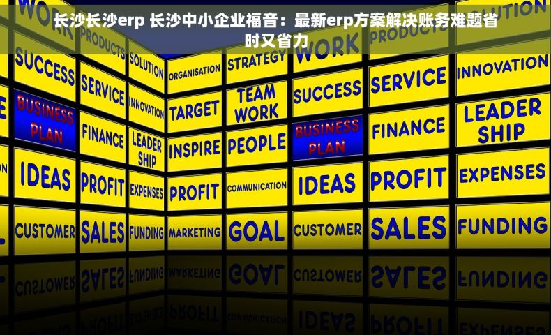 长沙长沙erp 长沙中小企业福音：最新erp方案解决账务难题省时又省力