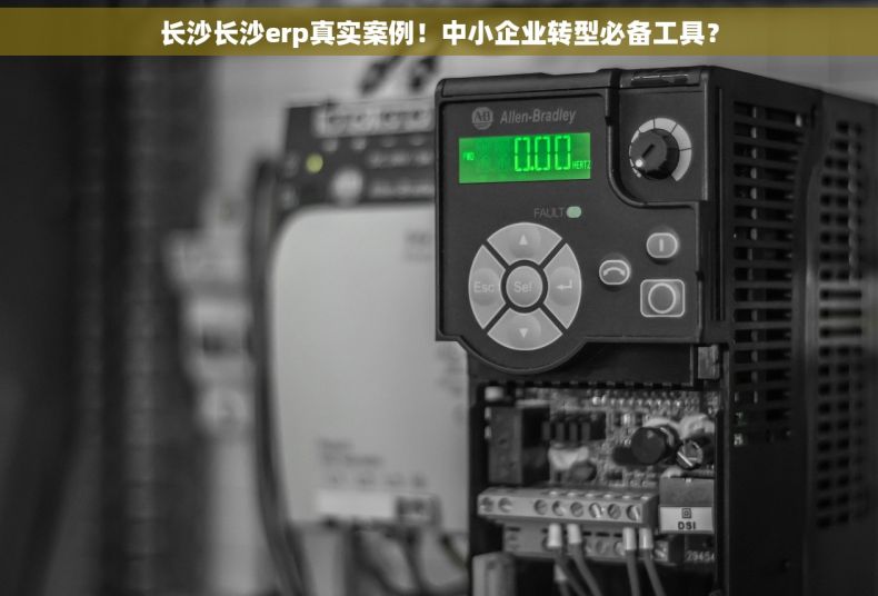 长沙长沙erp真实案例！中小企业转型必备工具？