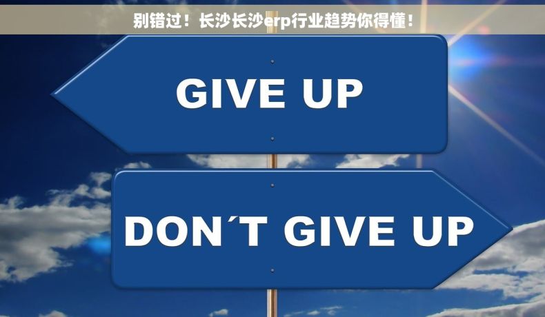 别错过！长沙长沙erp行业趋势你得懂！