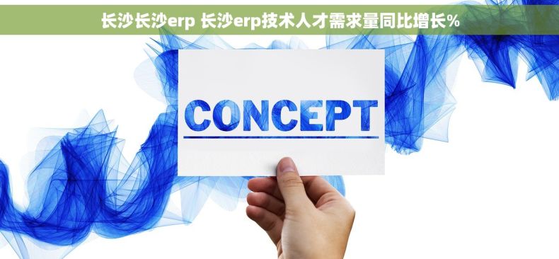 长沙长沙erp 长沙erp技术人才需求量同比增长%