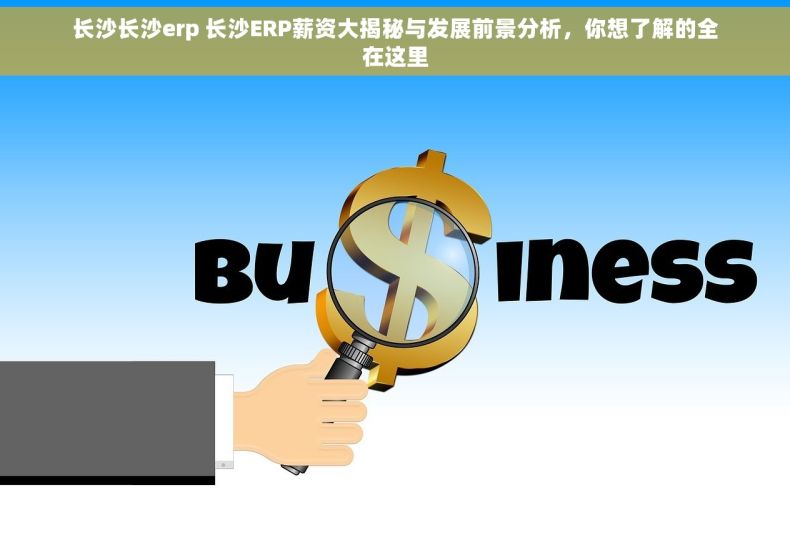 长沙长沙erp 长沙ERP薪资大揭秘与发展前景分析，你想了解的全在这里