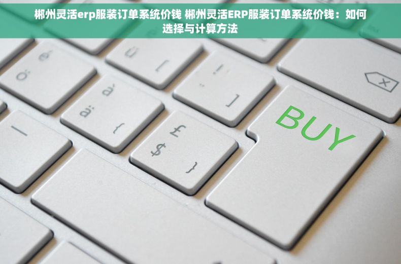 郴州灵活erp服装订单系统价钱 郴州灵活ERP服装订单系统价钱：如何选择与计算方法