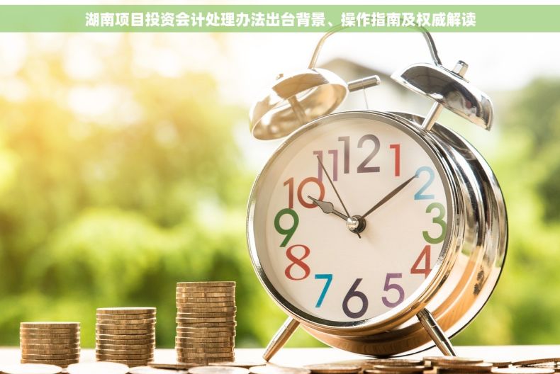 湖南项目投资会计处理办法出台背景、操作指南及权威解读