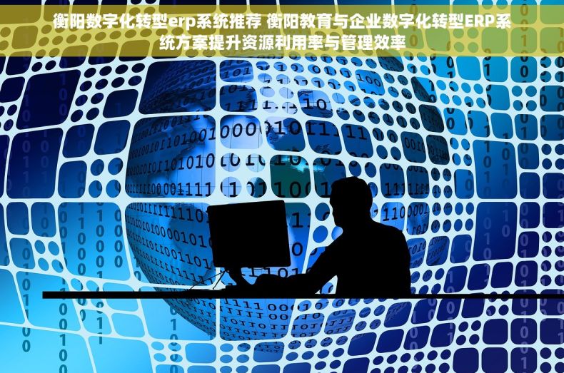衡阳数字化转型erp系统推荐 衡阳教育与企业数字化转型ERP系统方案提升资源利用率与管理效率