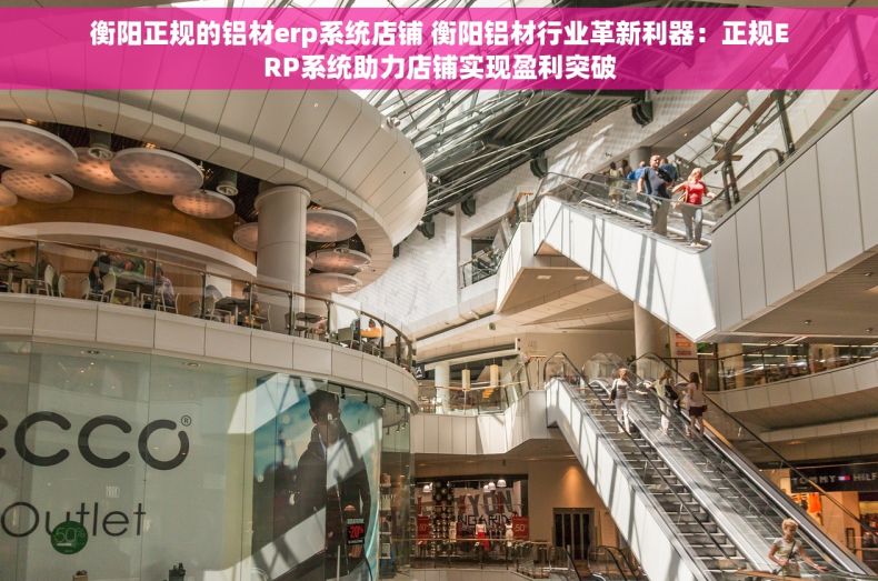 衡阳正规的铝材erp系统店铺 衡阳铝材行业革新利器：正规ERP系统助力店铺实现盈利突破