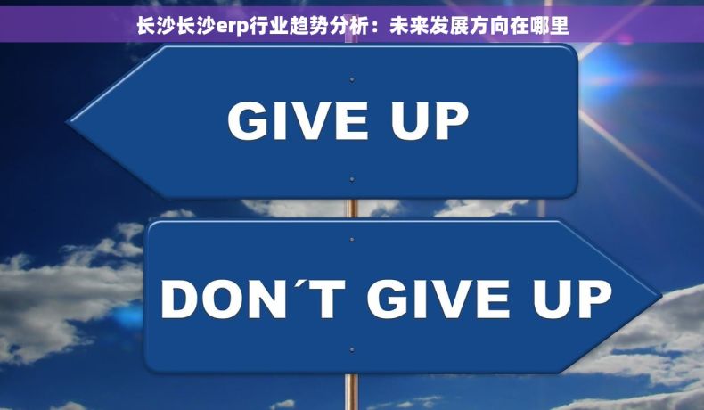 长沙长沙erp行业趋势分析：未来发展方向在哪里