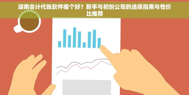 湖南会计代账软件哪个好？新手与初创公司的选择指南与性价比推荐
