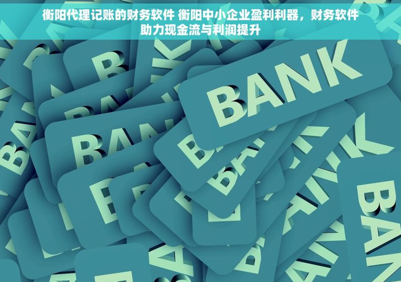 衡阳代理记账的财务软件 衡阳中小企业盈利利器，财务软件助力现金流与利润提升