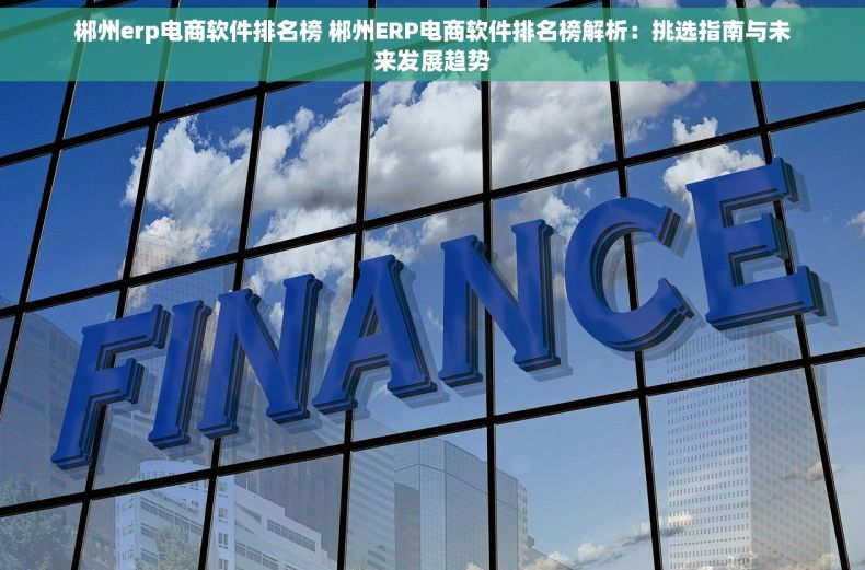郴州erp电商软件排名榜 郴州ERP电商软件排名榜解析：挑选指南与未来发展趋势