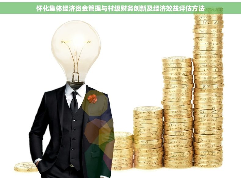 怀化集体经济资金管理与村级财务创新及经济效益评估方法