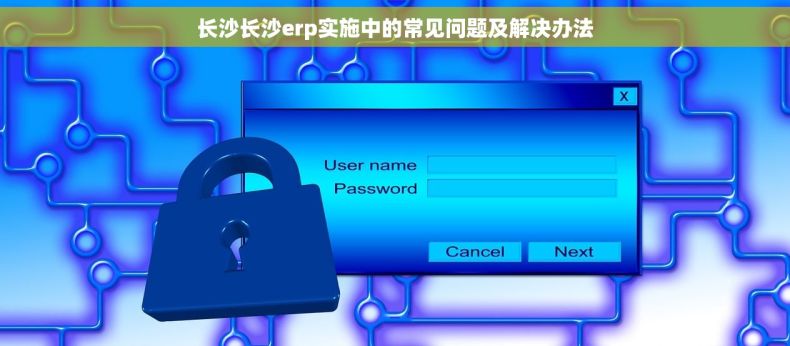 长沙长沙erp实施中的常见问题及解决办法