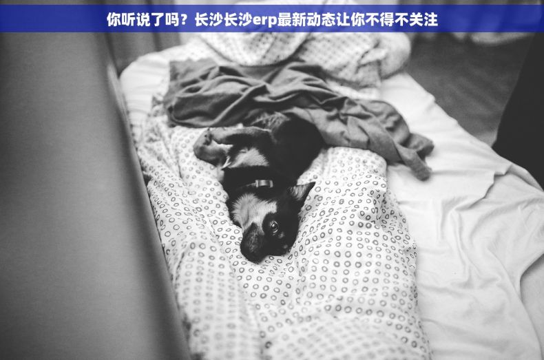 你听说了吗？长沙长沙erp最新动态让你不得不关注