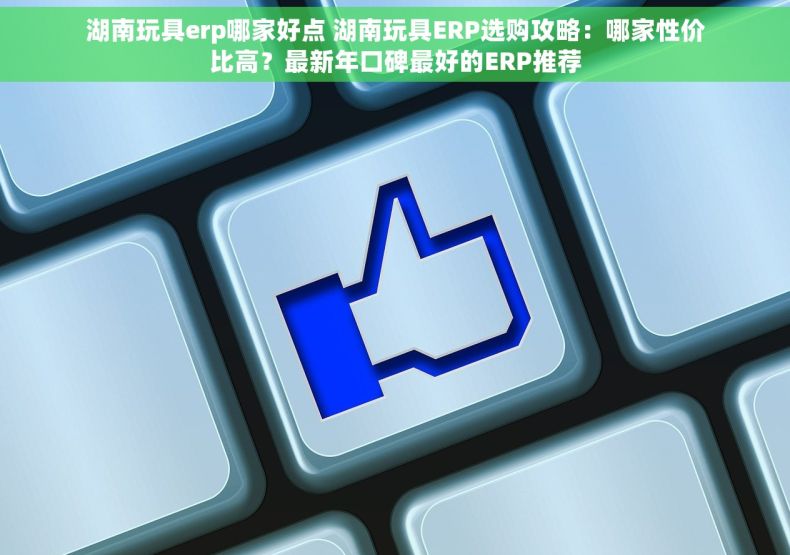 湖南玩具erp哪家好点 湖南玩具ERP选购攻略：哪家性价比高？最新年口碑最好的ERP推荐