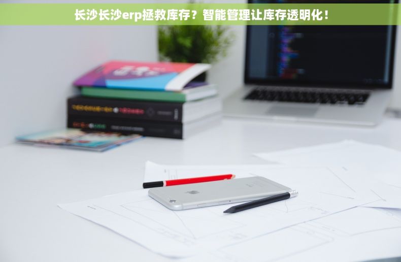 长沙长沙erp拯救库存？智能管理让库存透明化！