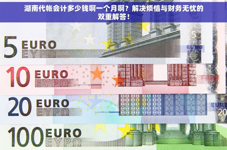湖南代帐会计多少钱啊一个月啊？解决烦恼与财务无忧的双重解答！