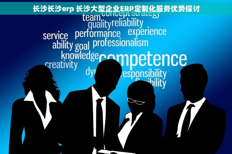 长沙长沙erp 长沙大型企业ERP定制化服务优势探讨