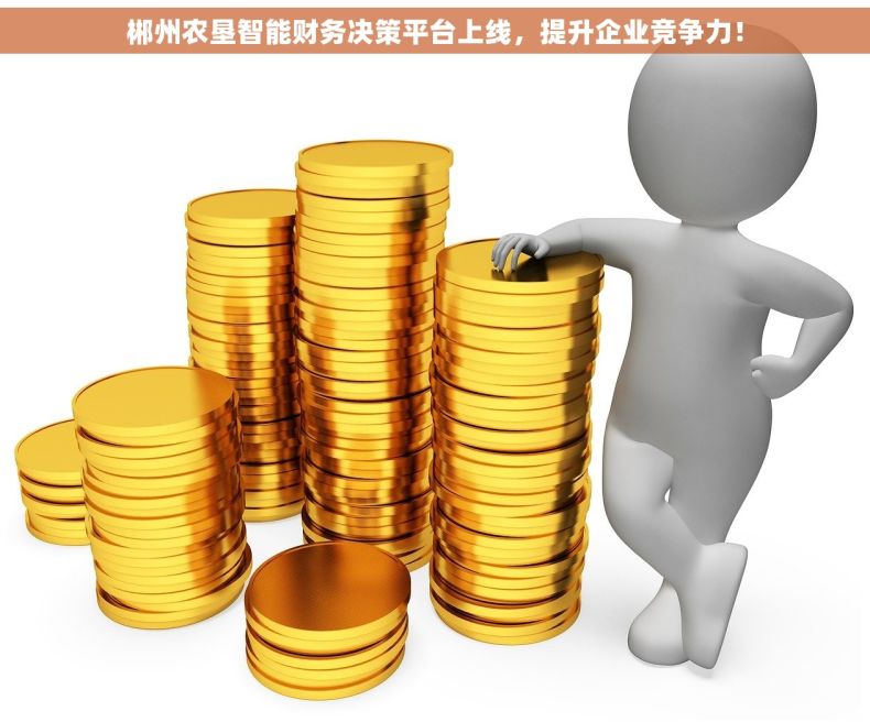 郴州农垦智能财务决策平台上线，提升企业竞争力！