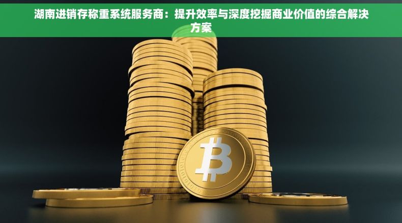 湖南进销存称重系统服务商：提升效率与深度挖掘商业价值的综合解决方案