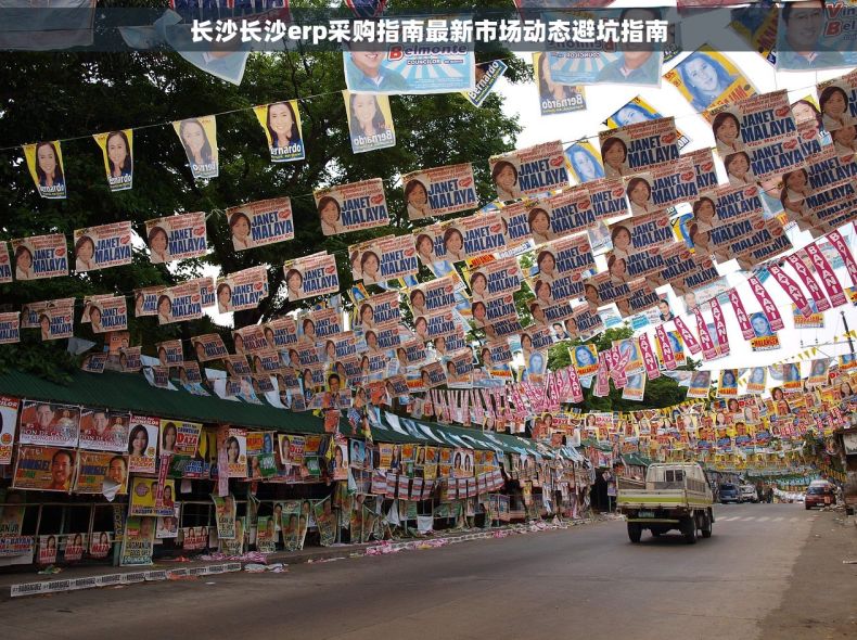 长沙长沙erp采购指南最新市场动态避坑指南