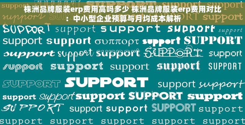 株洲品牌服装erp费用高吗多少 株洲品牌服装erp费用对比：中小型企业预算与月均成本解析