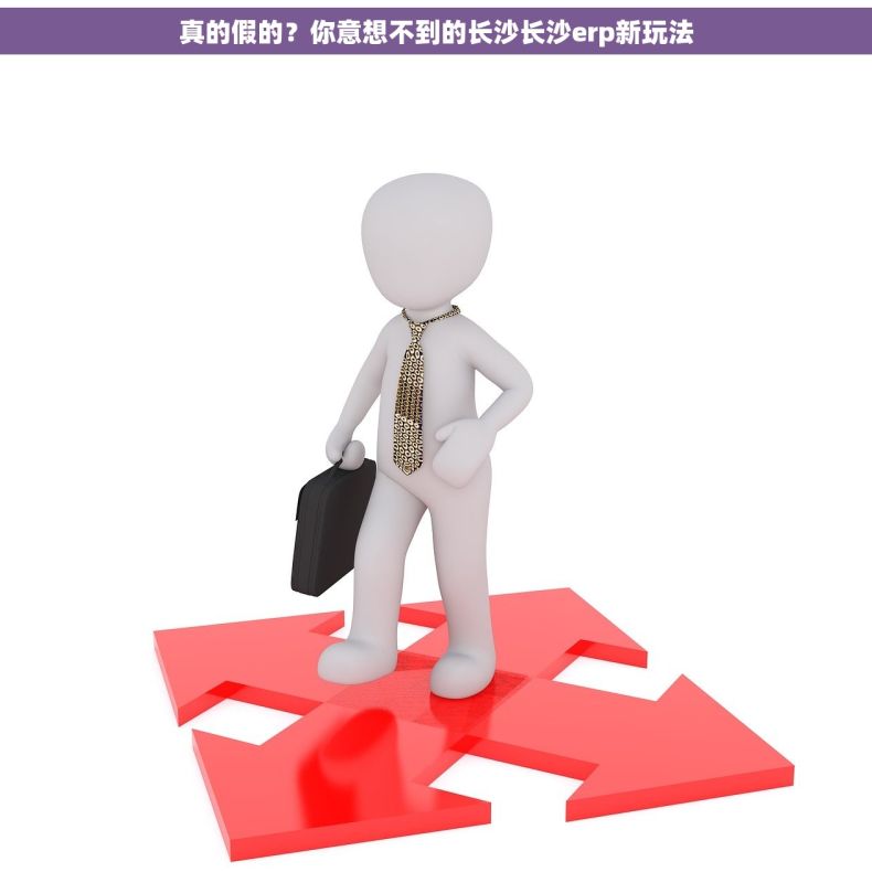真的假的？你意想不到的长沙长沙erp新玩法