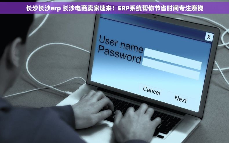 长沙长沙erp 长沙电商卖家速来！ERP系统帮你节省时间专注赚钱