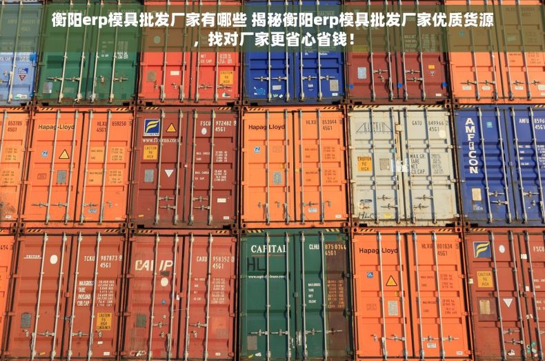 衡阳erp模具批发厂家有哪些 揭秘衡阳erp模具批发厂家优质货源，找对厂家更省心省钱！