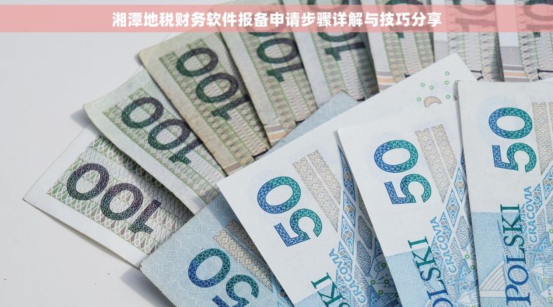 湘潭地税财务软件报备申请步骤详解与技巧分享