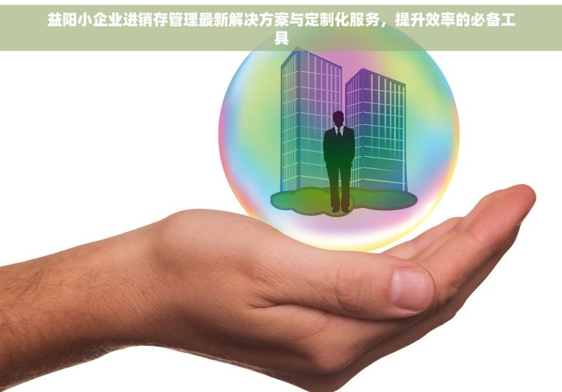 益阳小企业进销存管理最新解决方案与定制化服务，提升效率的必备工具