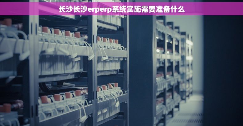 长沙长沙erperp系统实施需要准备什么