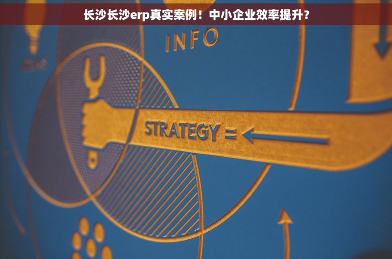 长沙长沙erp真实案例！中小企业效率提升？
