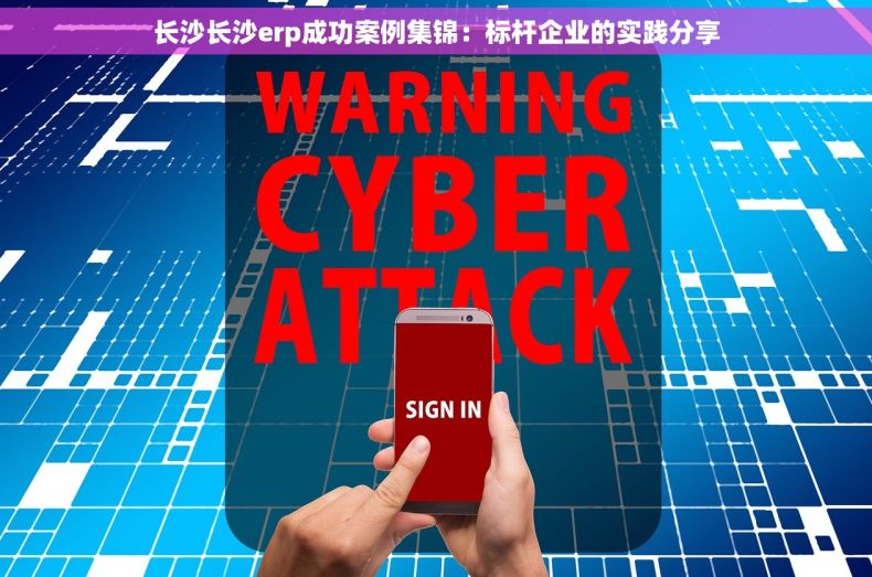 长沙长沙erp成功案例集锦：标杆企业的实践分享