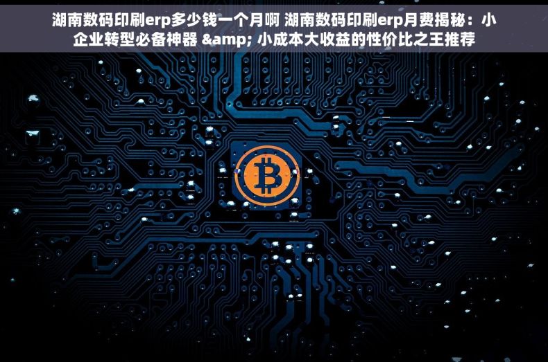 湖南数码印刷erp多少钱一个月啊 湖南数码印刷erp月费揭秘：小企业转型必备神器 & 小成本大收益的性价比之王推荐