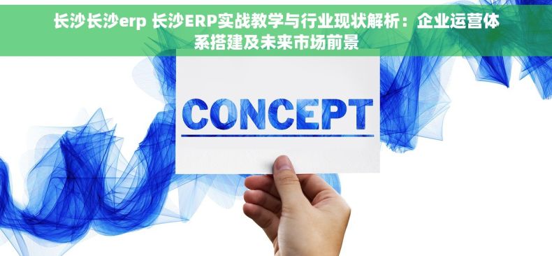长沙长沙erp 长沙ERP实战教学与行业现状解析：企业运营体系搭建及未来市场前景