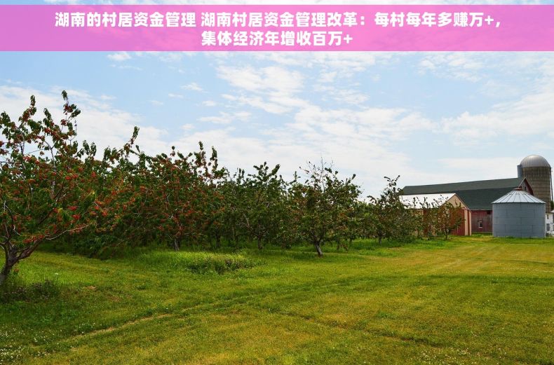 湖南的村居资金管理 湖南村居资金管理改革：每村每年多赚万+，集体经济年增收百万+