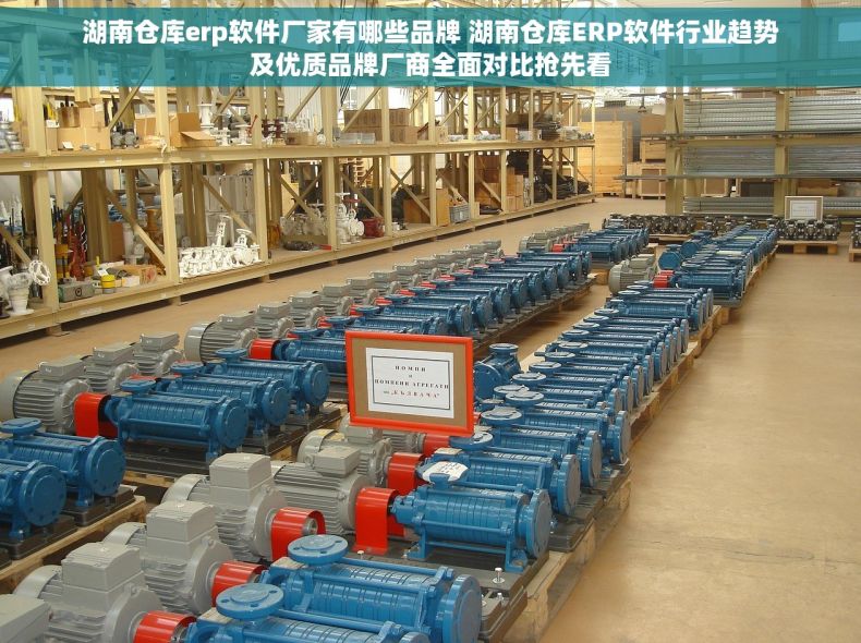 湖南仓库erp软件厂家有哪些品牌 湖南仓库ERP软件行业趋势及优质品牌厂商全面对比抢先看