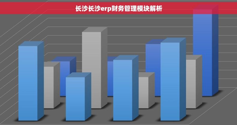 长沙长沙erp财务管理模块解析