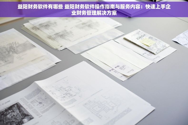 益阳财务软件有哪些 益阳财务软件操作指南与服务内容：快速上手企业财务管理解决方案