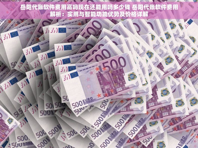 岳阳代账软件费用高吗现在还能用吗多少钱 岳阳代账软件费用解析：实用与智能功能优势及价格详解