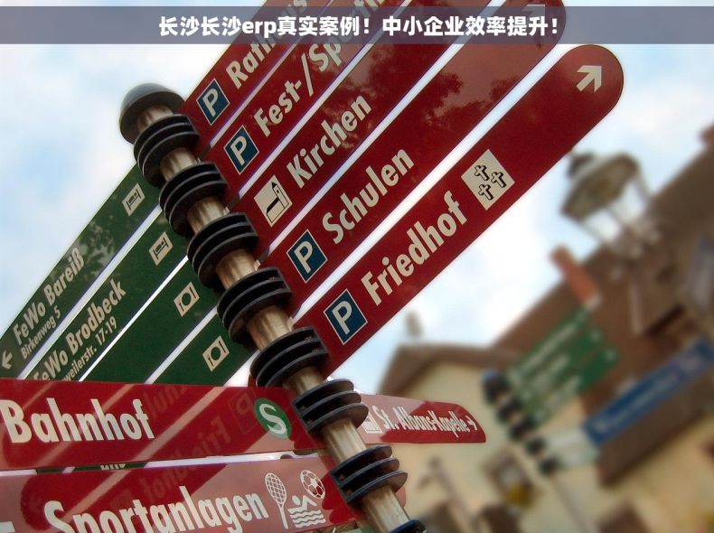 长沙长沙erp真实案例！中小企业效率提升！