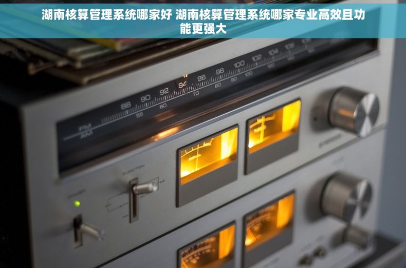 湖南核算管理系统哪家好 湖南核算管理系统哪家专业高效且功能更强大