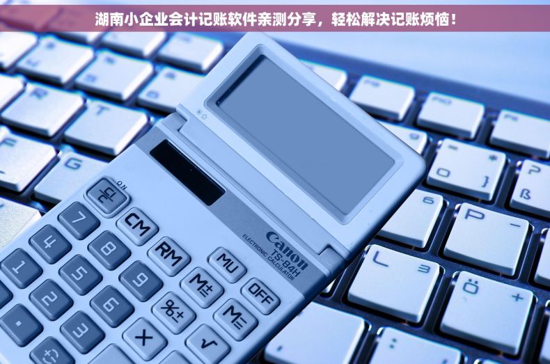 湖南小企业会计记账软件亲测分享，轻松解决记账烦恼！