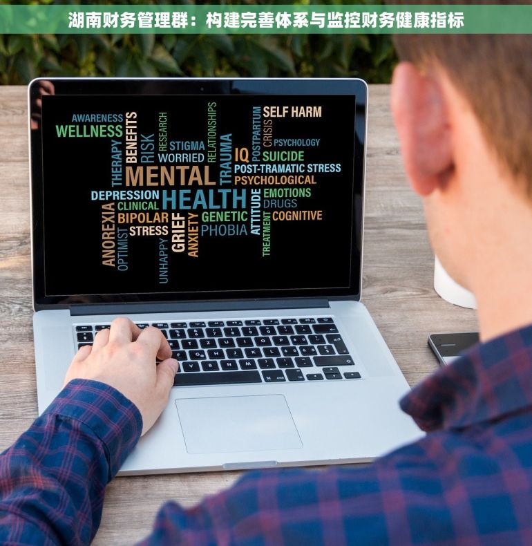 湖南财务管理群：构建完善体系与监控财务健康指标