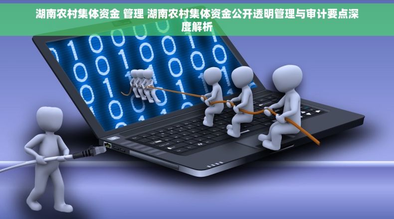 湖南农村集体资金 管理 湖南农村集体资金公开透明管理与审计要点深度解析