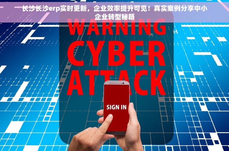 长沙长沙erp实时更新，企业效率提升可见！真实案例分享中小企业转型秘籍