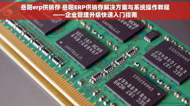 岳阳erp供销存 岳阳ERP供销存解决方案与系统操作教程——企业管理升级快速入门指南